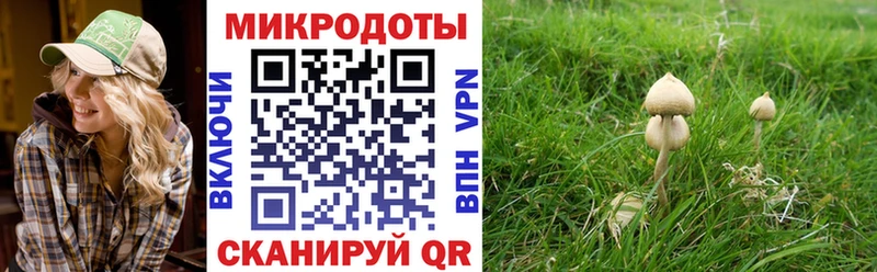ОМГ ОМГ как войти  Липки  Галлюциногенные грибы GOLDEN TEACHER 